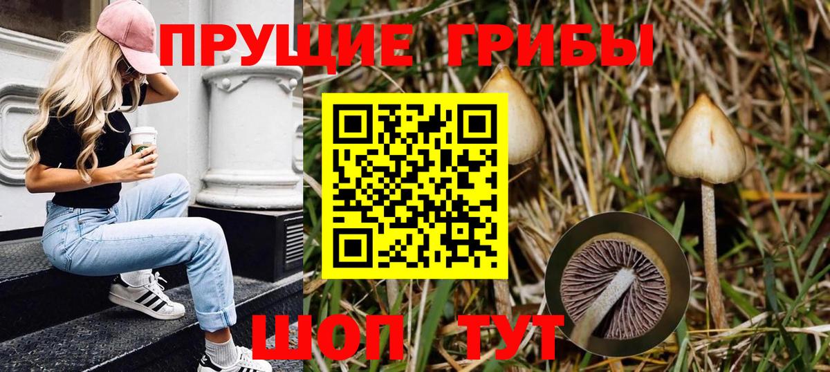 Галлюциногенные грибы GOLDEN TEACHER Пушкино