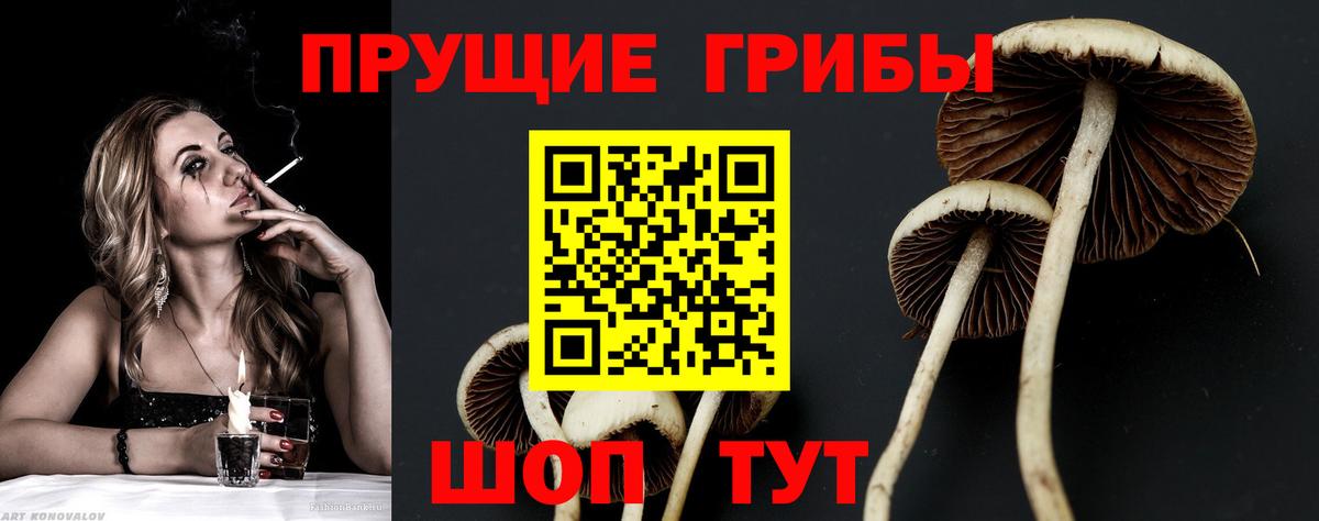 Галлюциногенные грибы Magic Shrooms  Вход с VPN  Пушкино 